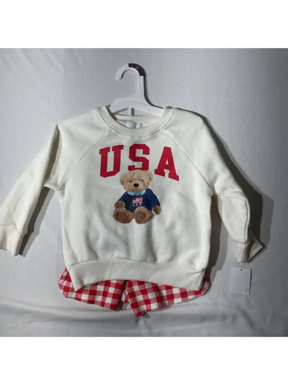 USA target Teddy Bear Sweatshirt & Red Gingham Shorts Set 2T - Toddler Outfit